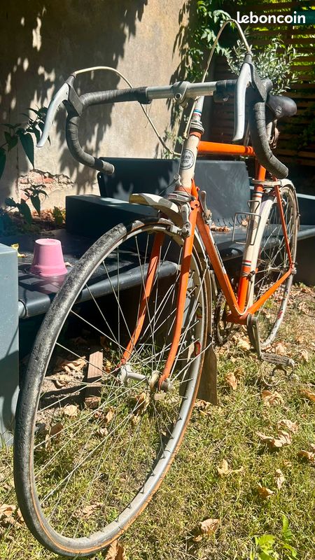 Vélo Salmon Sport Vintage (image 2)