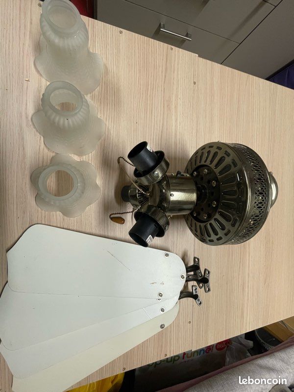 Ventilateur plafonnier (image 1)