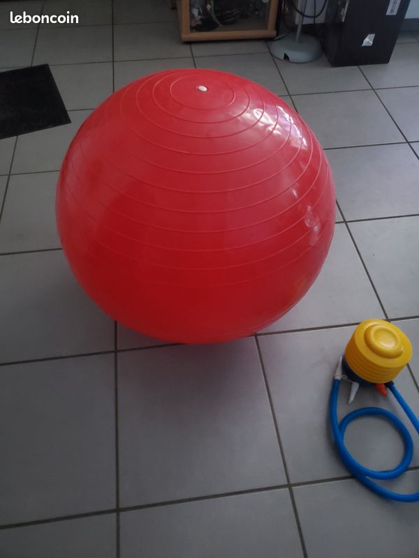 Ballon ergonomique (image 2)