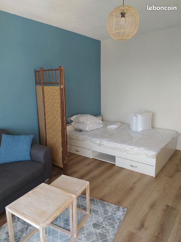 Location meuble - Limoges 87000 Bénédictins-Montplaisir (image principale 0)