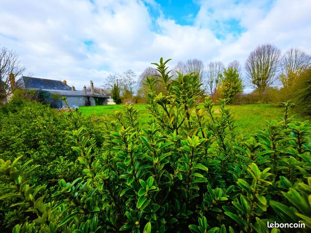 Propriété 6 pièces 175 m²