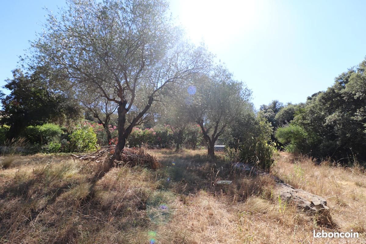 Terrain 564 m² · à Boisseron · 179 000 €