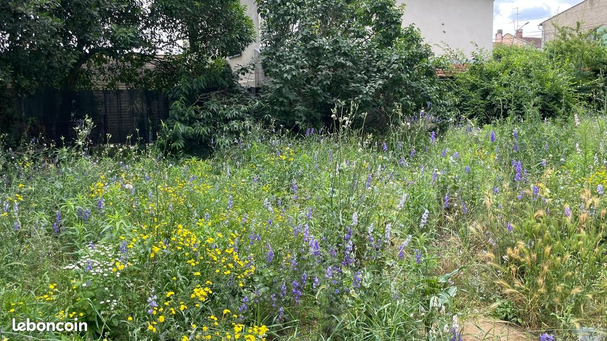 Terrain 245 m² Côte pavée · à Toulouse · 280 000 €