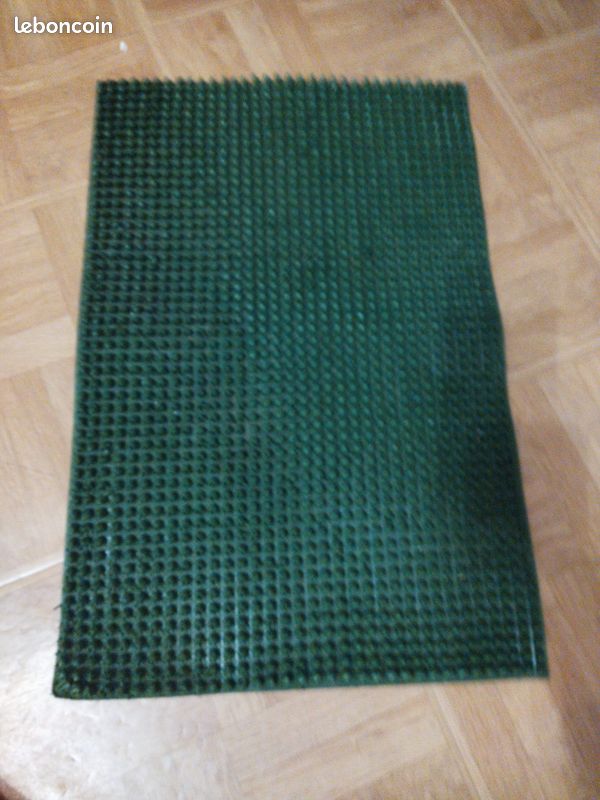 Paillasson en caoutchouc vert (image 1)