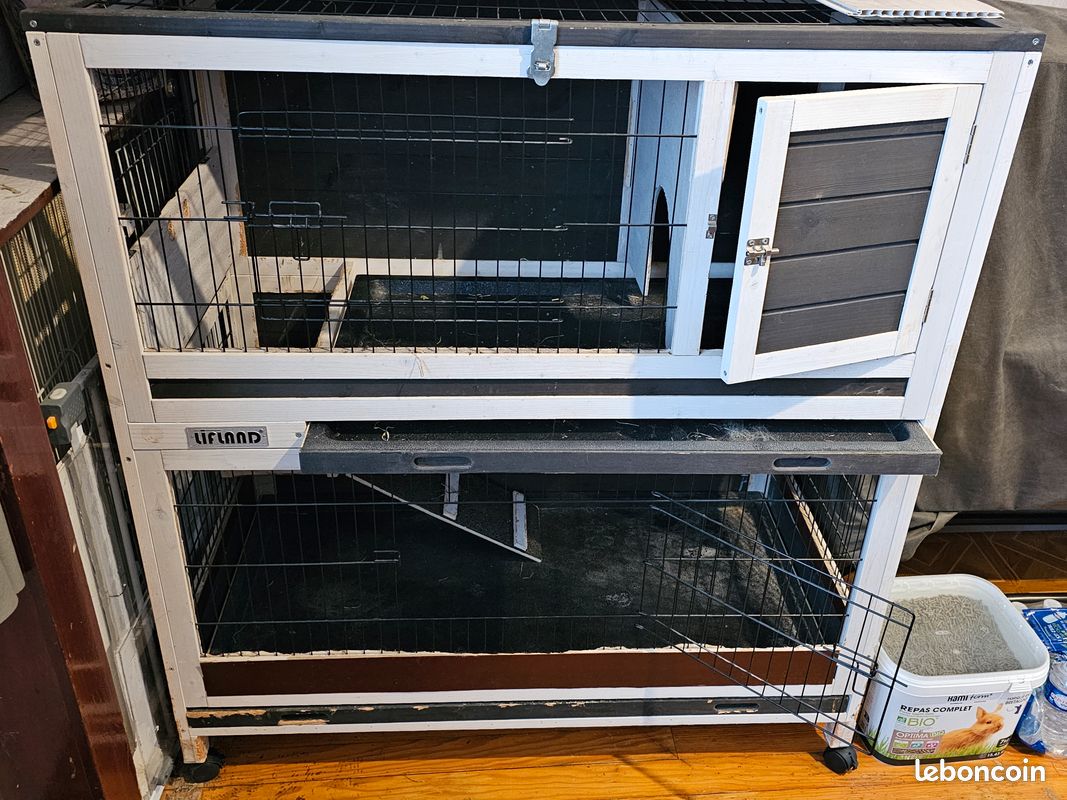 Case a lapin (image 1)