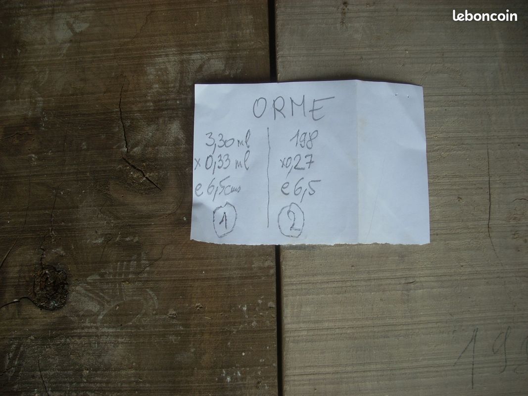 Plots chêne et orme (image 1)