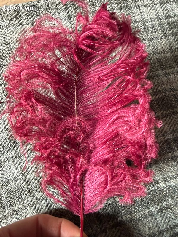 Chapeau Ancien à Plumes Pour Poupée Ancienne - Modèle Jumeau?