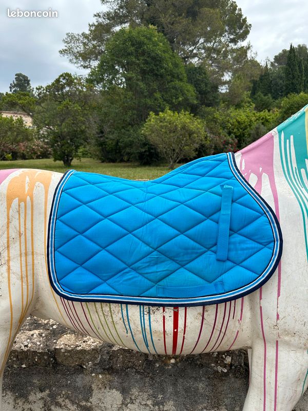 Tapis bleu clair pour cheval (image 2)