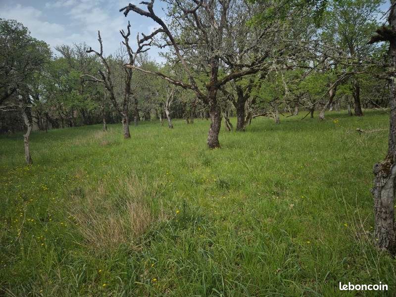 Terrain 7010 m² · à Pechs-de-l'Espérance · 50 000 €