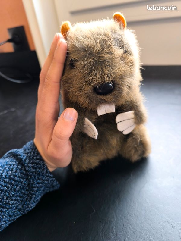 Marmotte peluche (image 6)