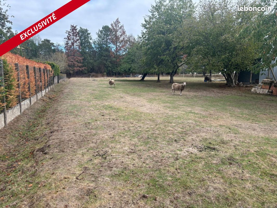 Terrain 3240 m² · à Pleucadeuc · 3 240 m² · 71 000 €