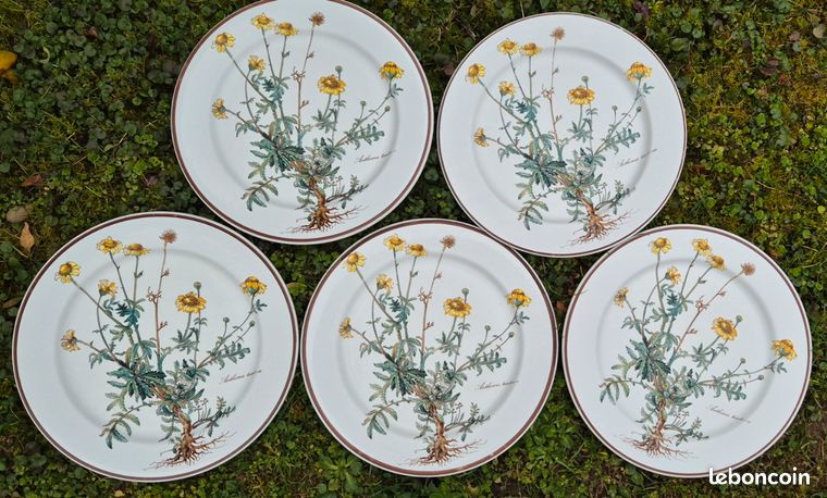 Lot De 6 Assiettes à Huîtres Villeroy & Boch Modèle Botanica - Porcelaine Fleurie