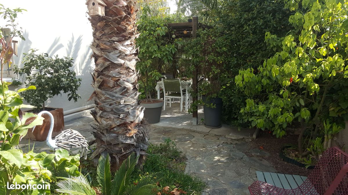 Appartement lumineux avec jardin à Perpignan - 66 (image 8)