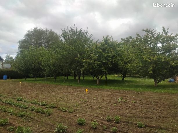 Terrain 554 m² Bannalec