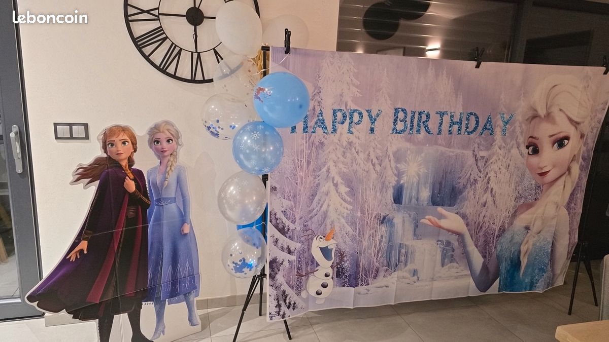 Lot anniversaire reine des neiges (image 1)