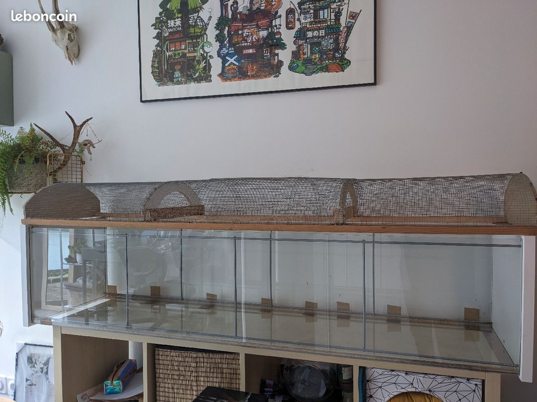 Cage rongeurs detolf ikea (image 3)