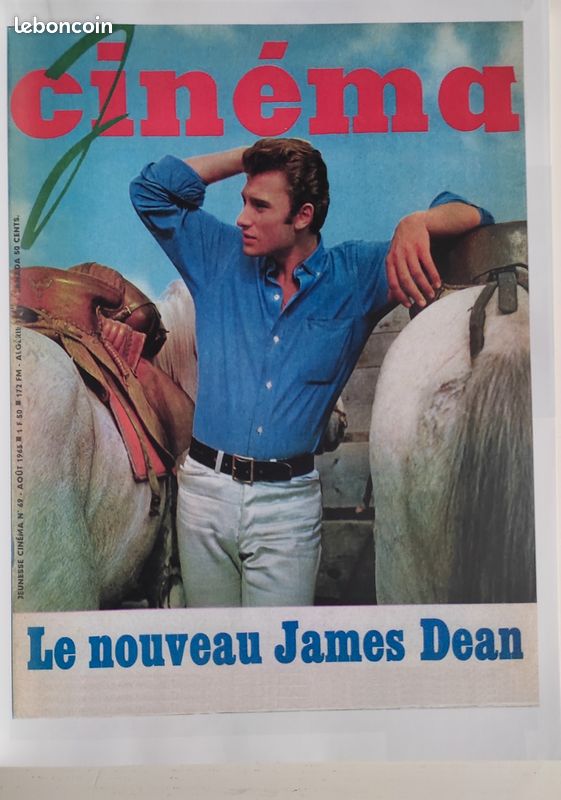 Livre collector Johnny Hallyday collection Icône (image 9)