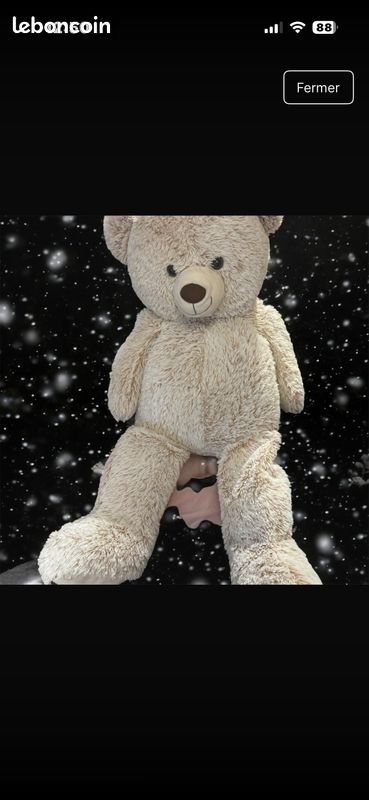 Ourson en peluche (image 1)