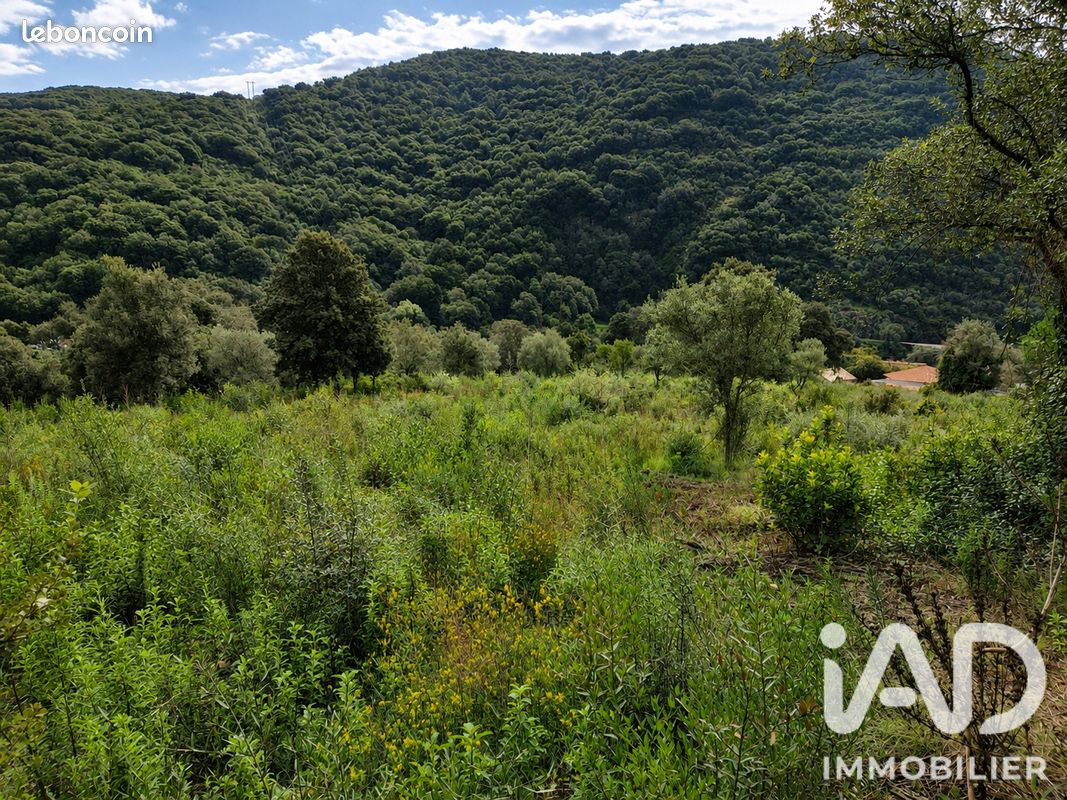 Terrain 14741 m² · à Ocana · 14 741 m² · 650 000 €