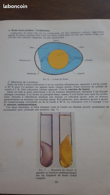 Le corps humain de Pierre Vincent (image 2)