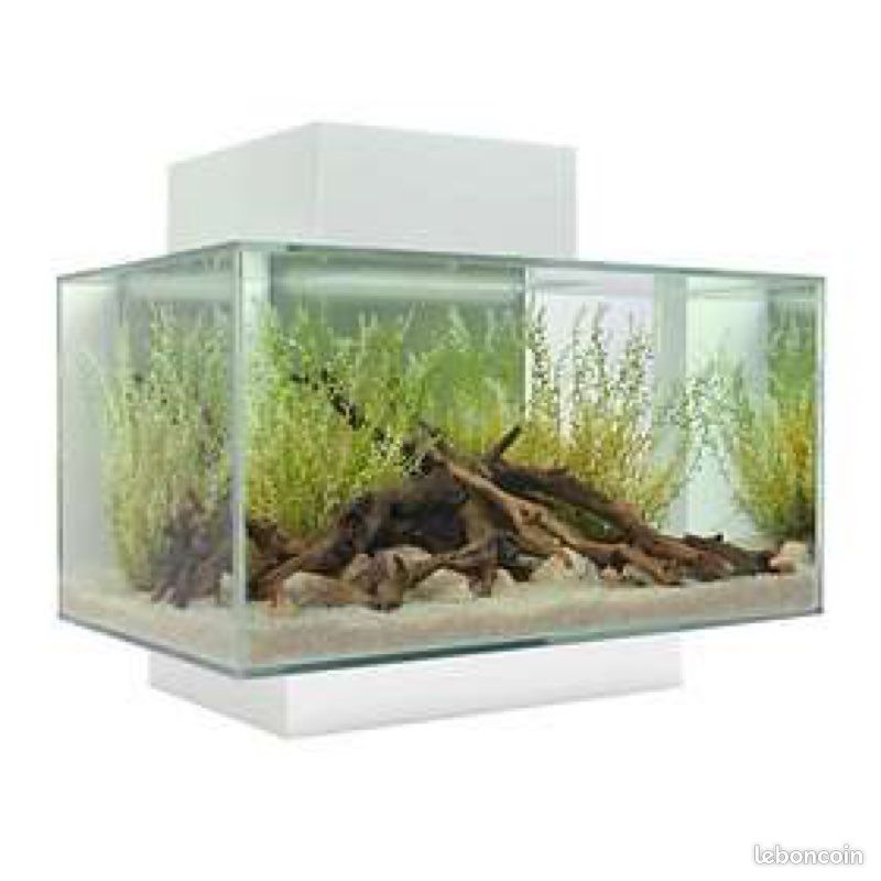 Aquarium FLUVIAL EDGE 23L (image 3)
