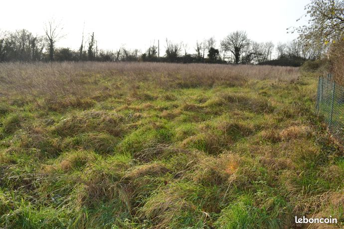 Terrain constructible