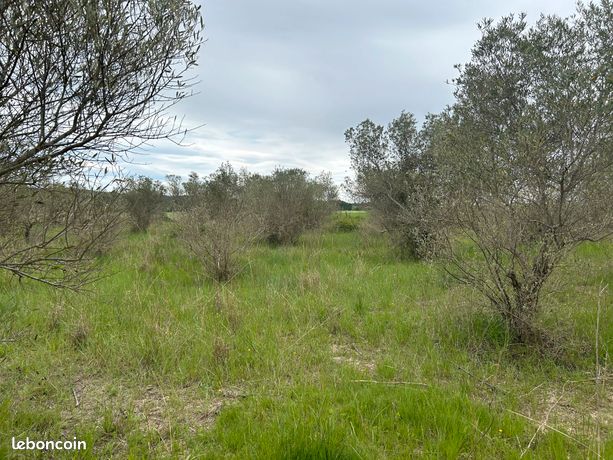 Location terrain agricole Sommières