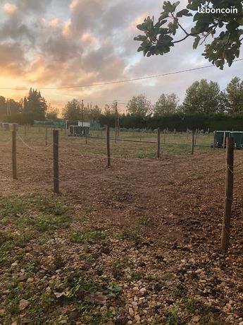 Terrain pour potager et elevage