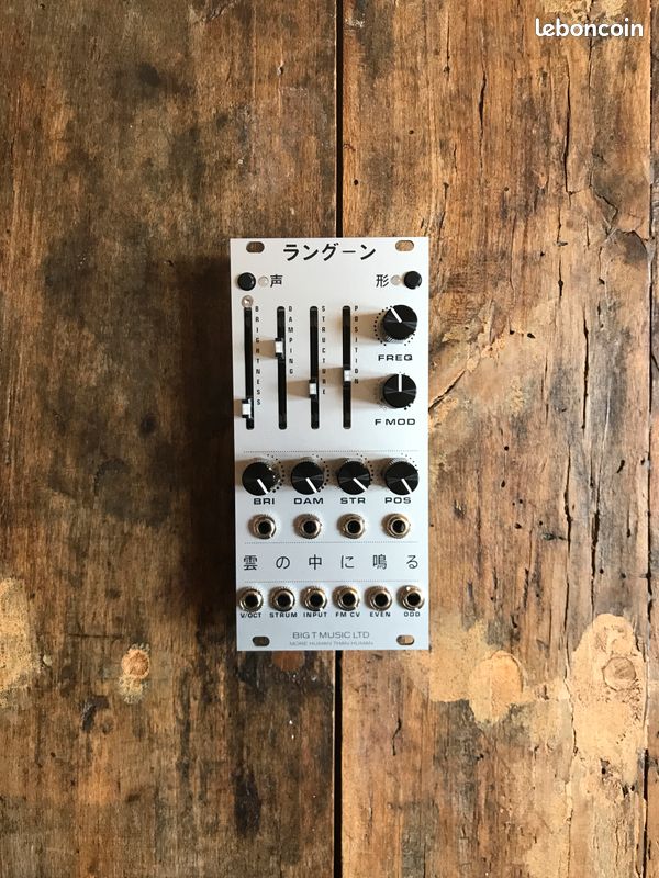 Module Eurorack Big T Music - Rangoon (Mutable Instruments Rings 