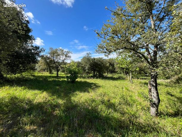 Terrain 10 997 m² Saint Thomas De Conac