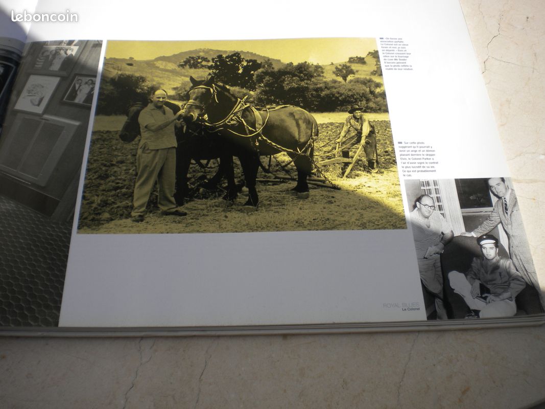 Livre'the king' (image 3)