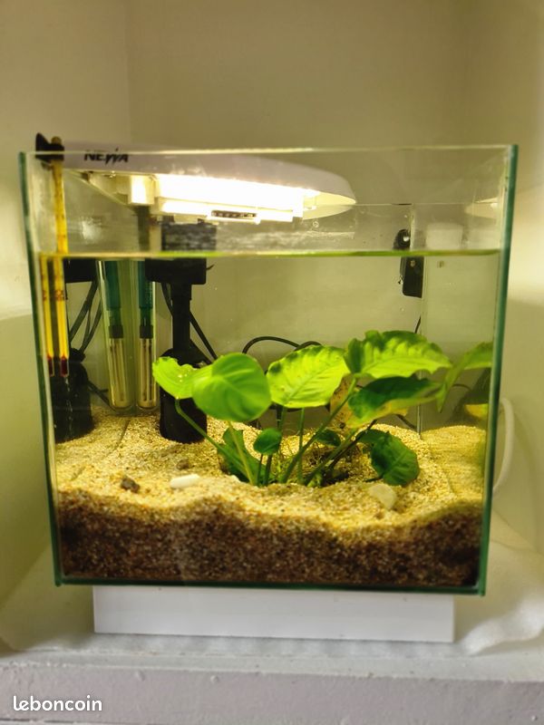 Aquarium Newa More blanc 18 Litres ++ accessoirs (image 1)
