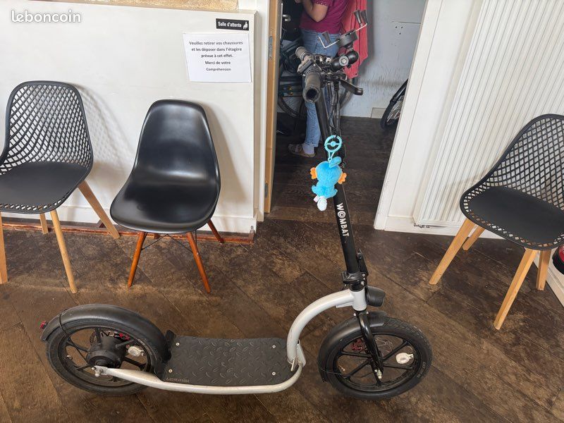 Trottinette Électrique (image 1)