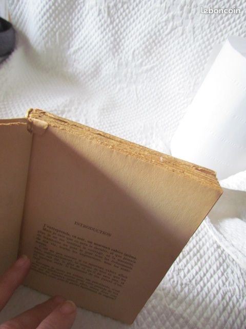 (2351) livre « Les amants de sable » Collection les fruits verts (image 6)