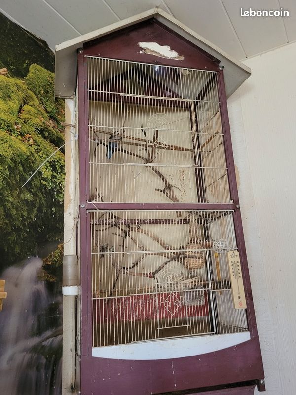 Cage (image 2)