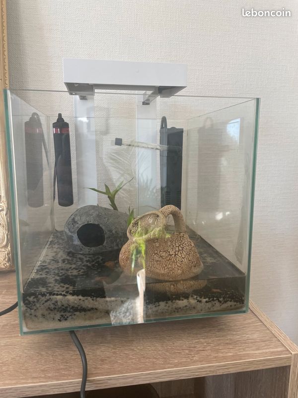 Aquarium (image 1)