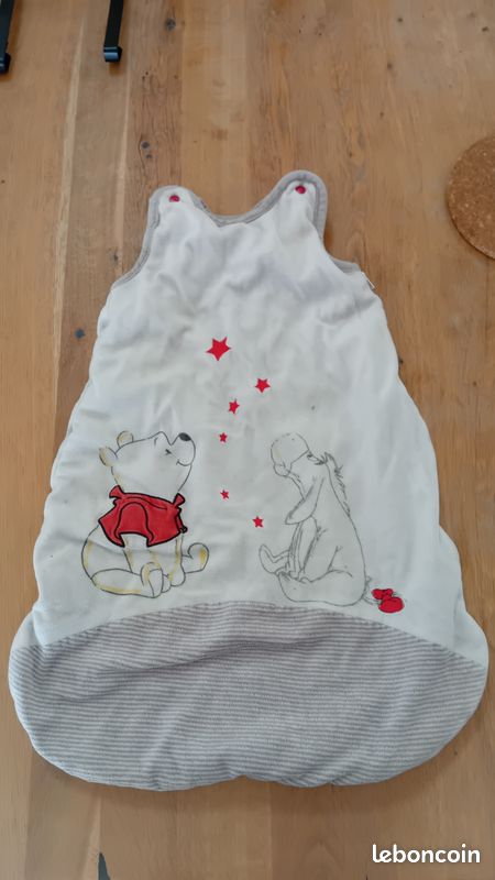 Gigoteuse hiver Disney Winnie L'ourson 0-6 mois (image 1)