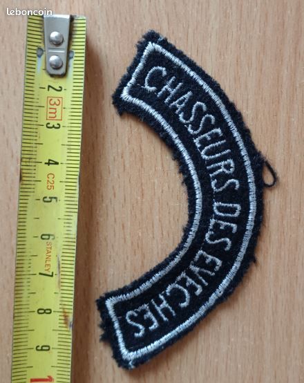 Insigne tissu banane chasseurs évêchés - 2ème de cavalerie (image 1)