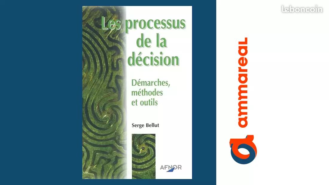 Les processus de la décision : Démarches, méthodes et outils - Serge Bellut (image 1)