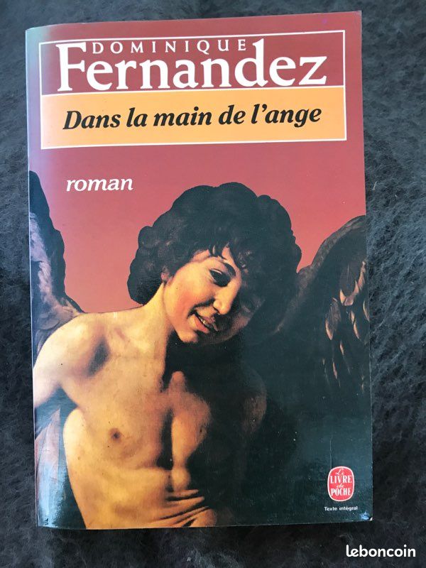 DANS LA MAIN DE L’ANGE par Dominique FERNANDEZ (image 1)