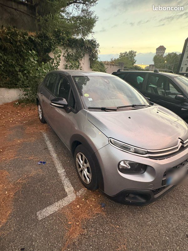 Citroën C3 société (image 3)