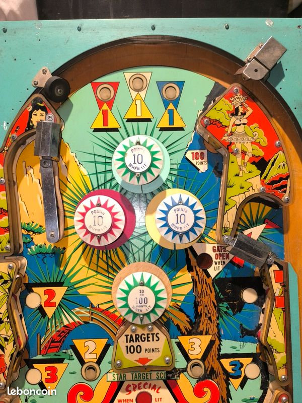 Plateau flipper Shangri-La Williams (image 4)