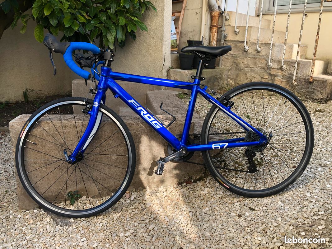 Frog Road Velo Cross 24 Pouces Velo Frog Velo De Route 20 Pouces