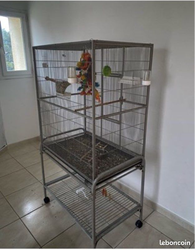 Cage à perroquet (image 1)