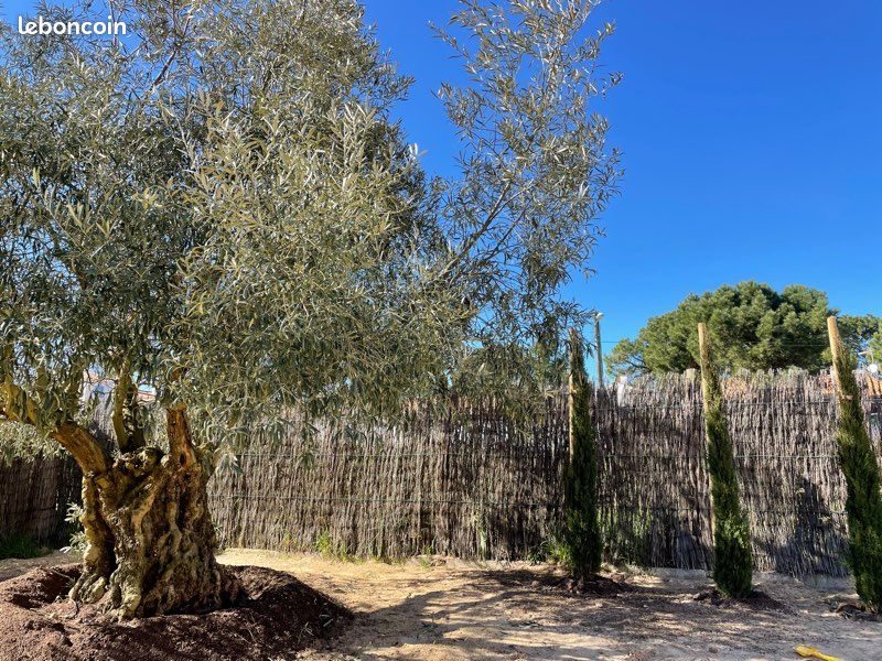 Location Maison dans les dunes (image 7)
