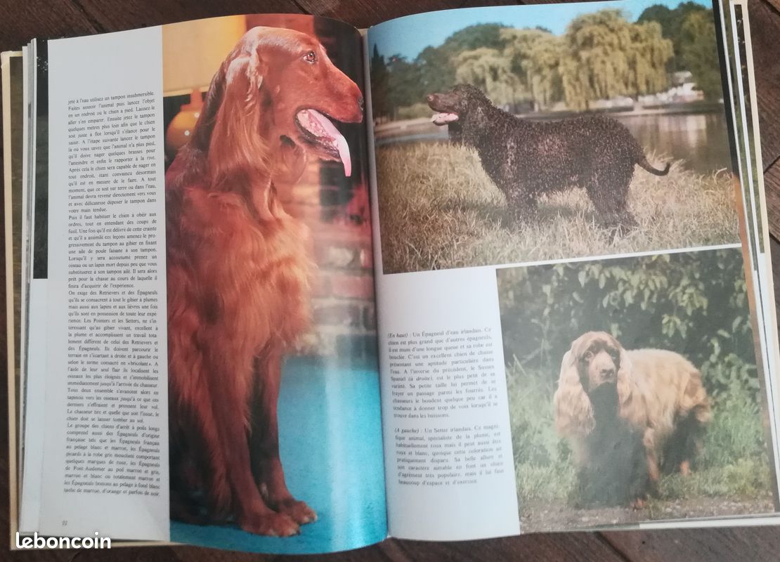 Livre sur les chiens (image 2)
