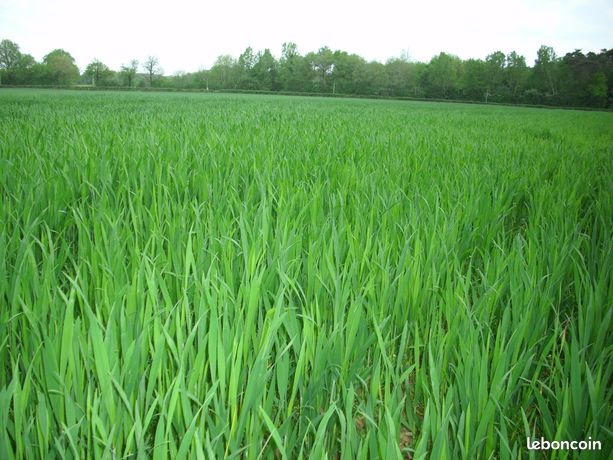 Terres agricoles