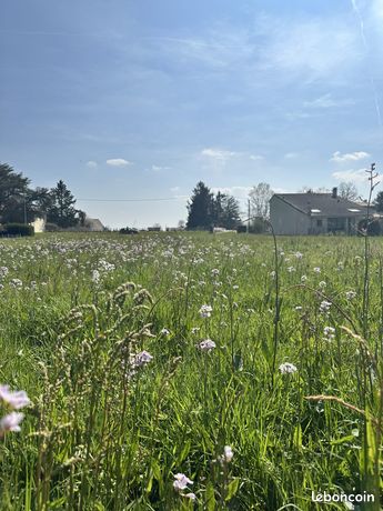 Terrain 965 m² Lalande-de-Pomerol