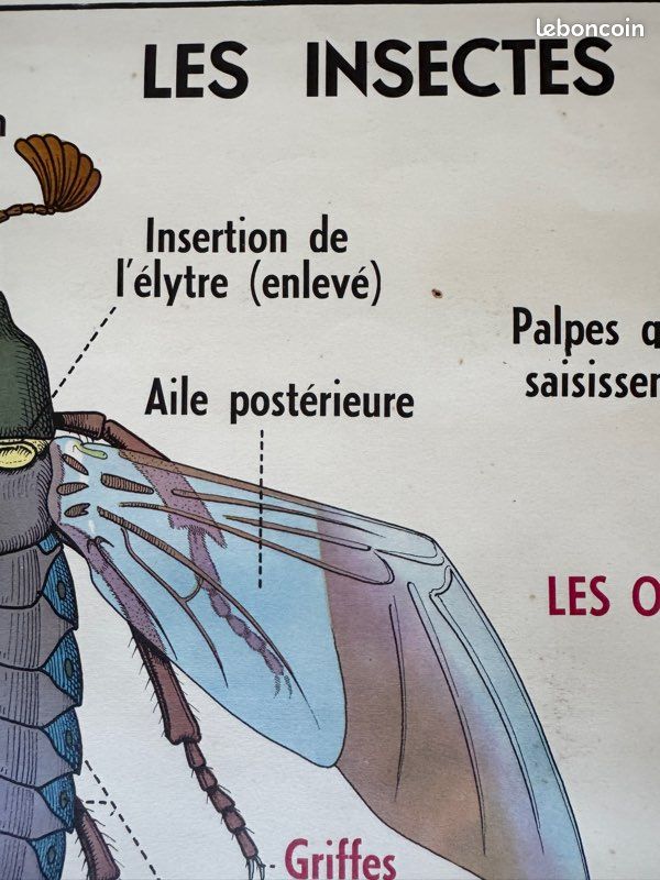 Lots De 38 Planches D’autocollants Vintage Madame Grossman – Animaux, Nourriture, école – Multi-couleurs