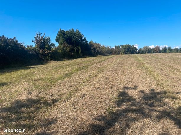 Terrain 1 200 m² Saint Trojan